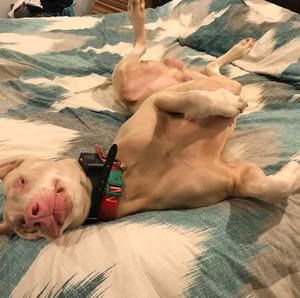 Meet your Posher, Sonya